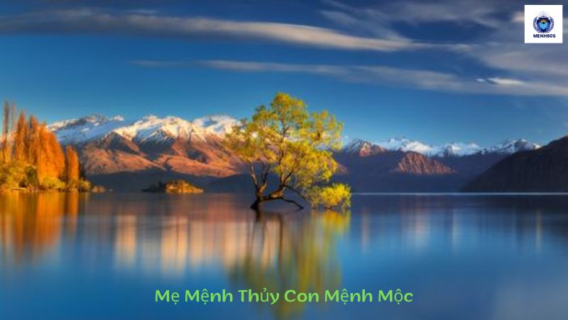 Mẹ Mệnh Thủy Con Mệnh Mộc