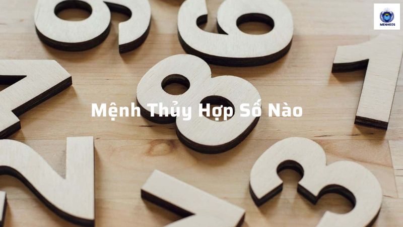 Mệnh Thủy Hợp Số Nào