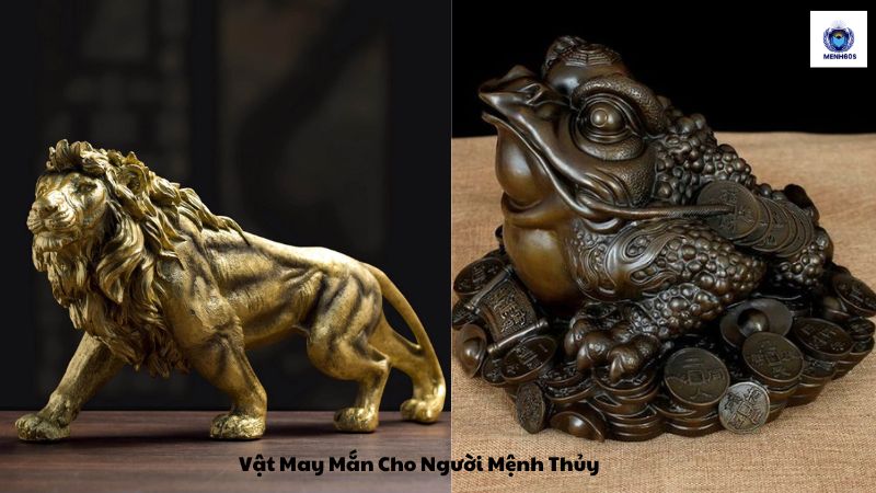 Vật May Mắn Cho Người Mệnh Thủy