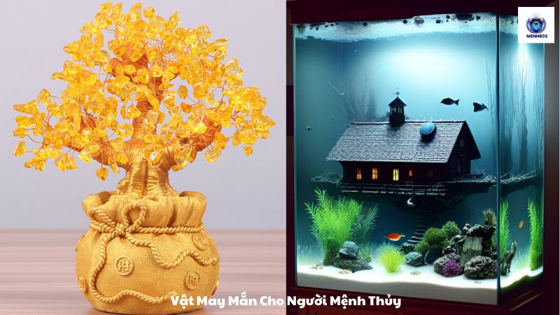 Vật May Mắn Cho Người Mệnh Thủy