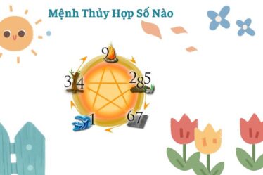 Mệnh Thủy Hợp Số Nào