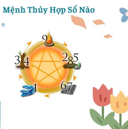 Mệnh Thủy Hợp Số Nào