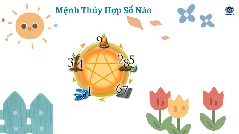 Mệnh Thủy Hợp Số Nào