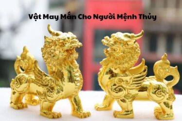 Vật May Mắn Cho Người Mệnh Thủy