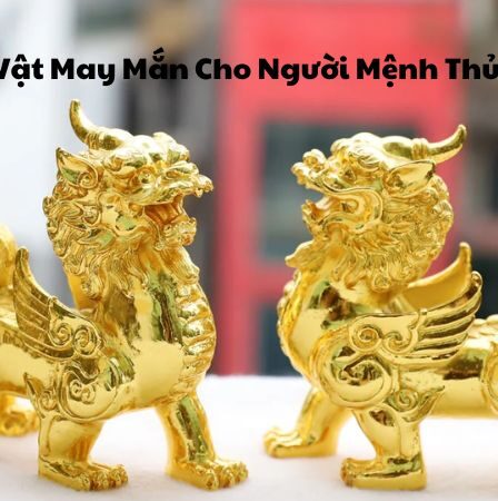 Vật May Mắn Cho Người Mệnh Thủy