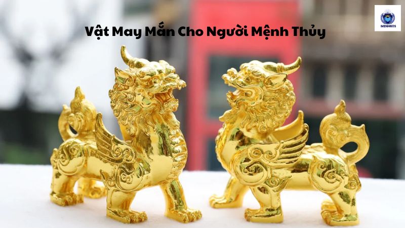 Vật May Mắn Cho Người Mệnh Thủy